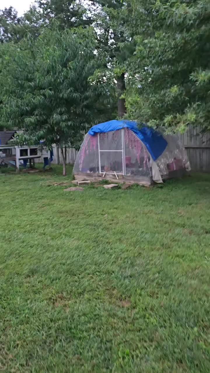 @ActiveMommy