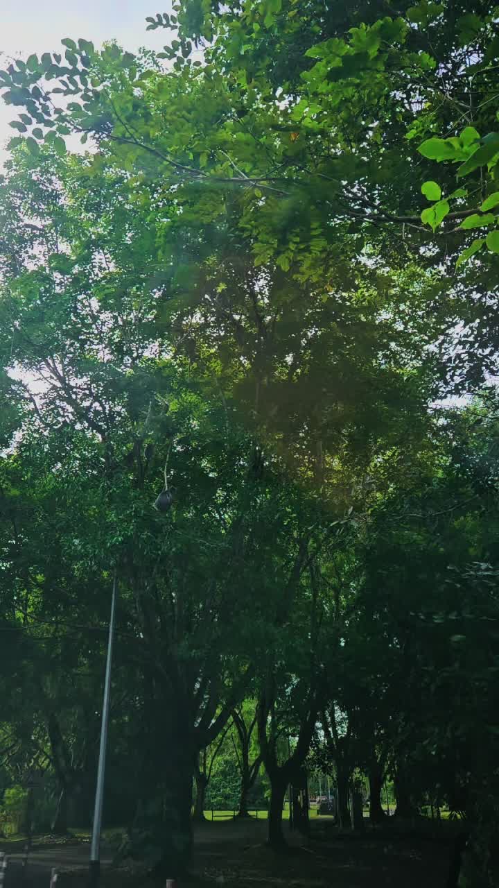 @darshini_bn