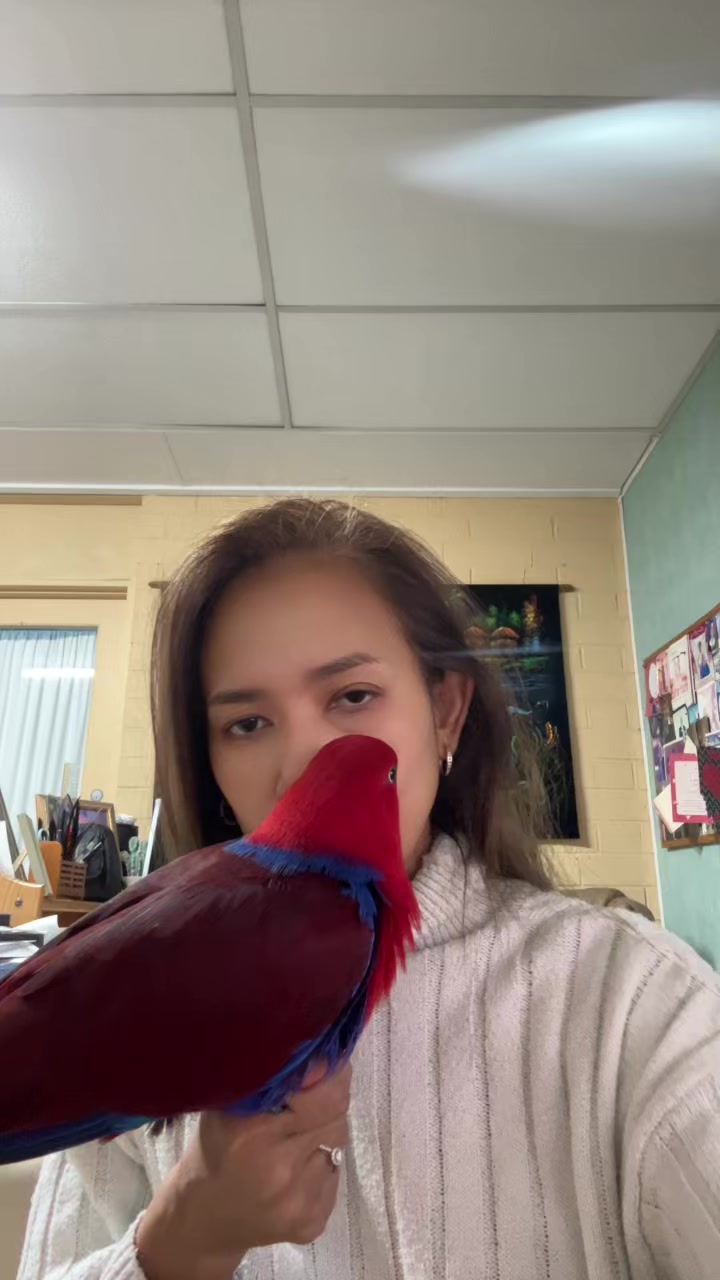 @Female parrot🥰👫🦜