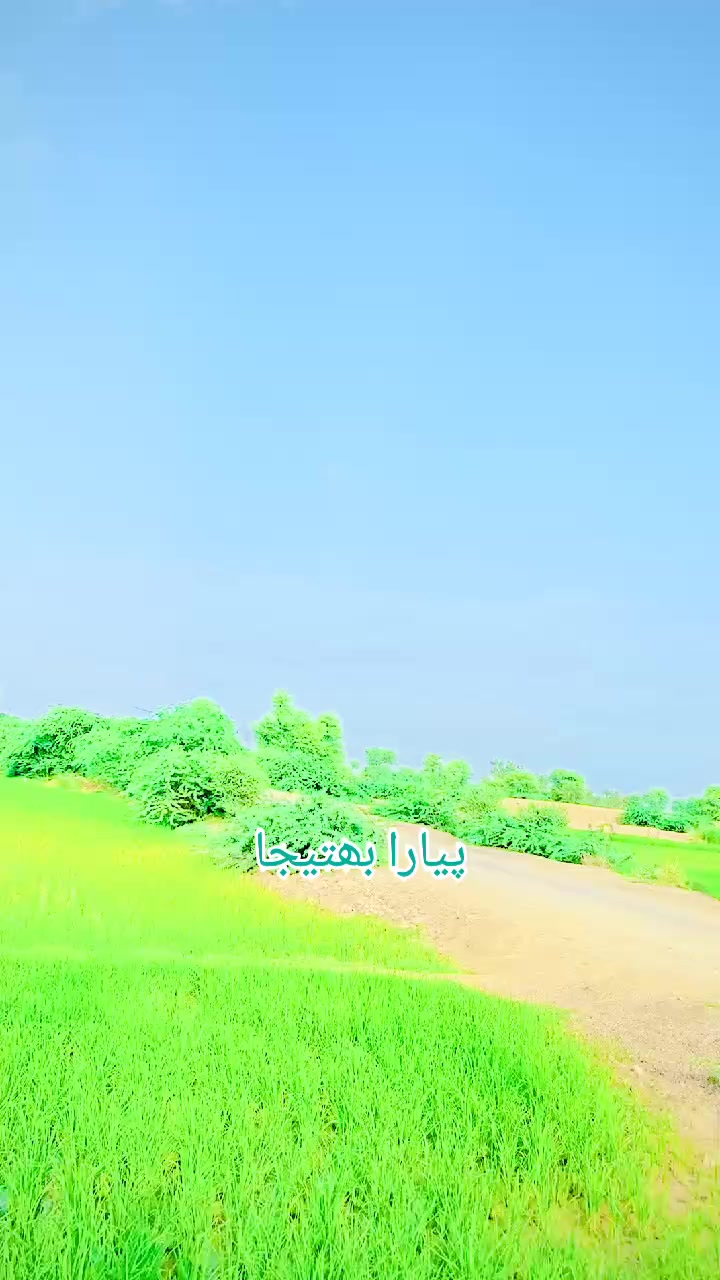 @سادی پیارا