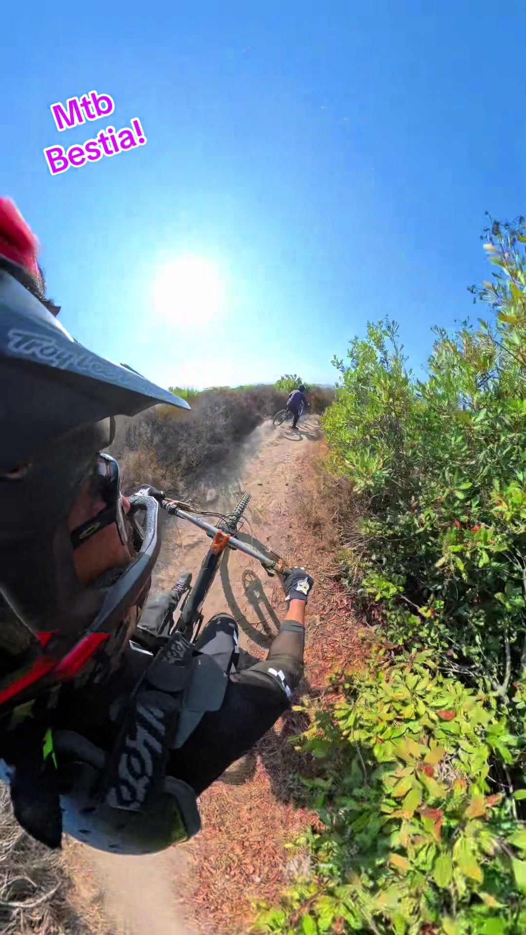 @Mtb BESTIA!