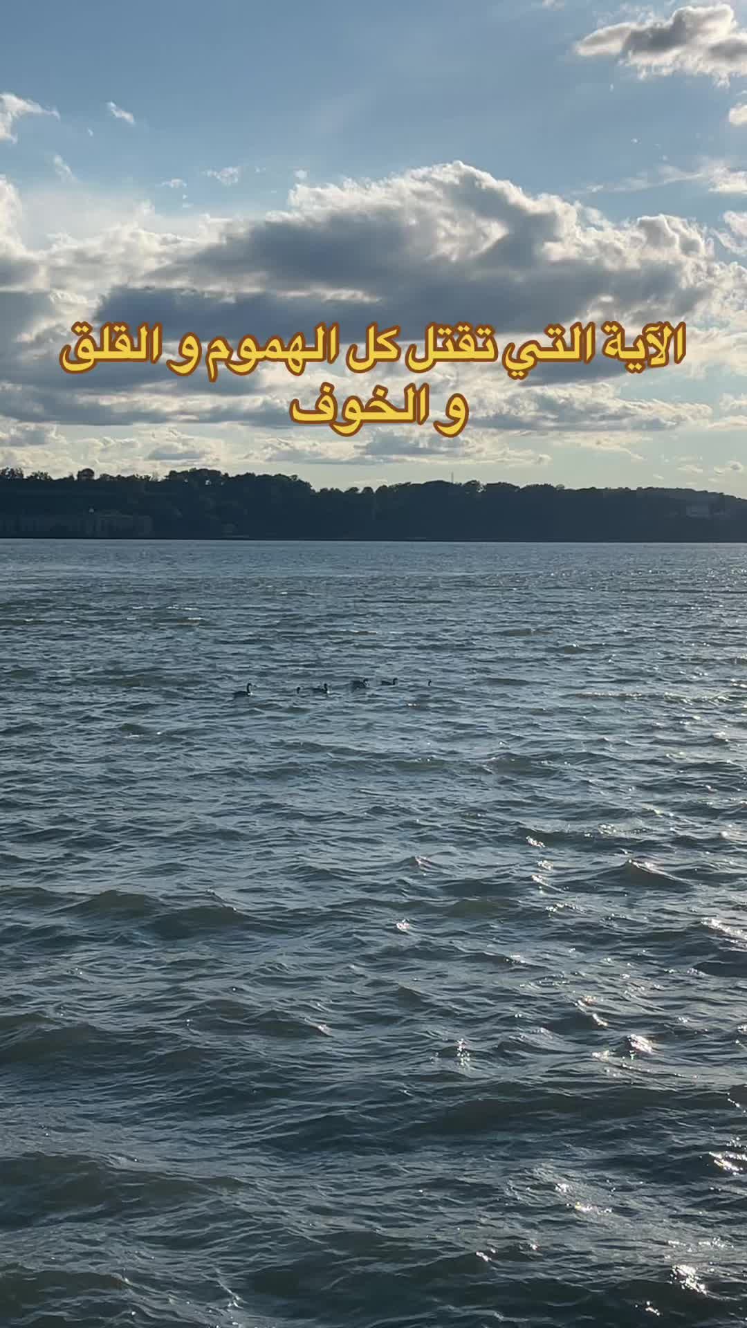 @حضرمي غب 🇺🇸🇾🇪