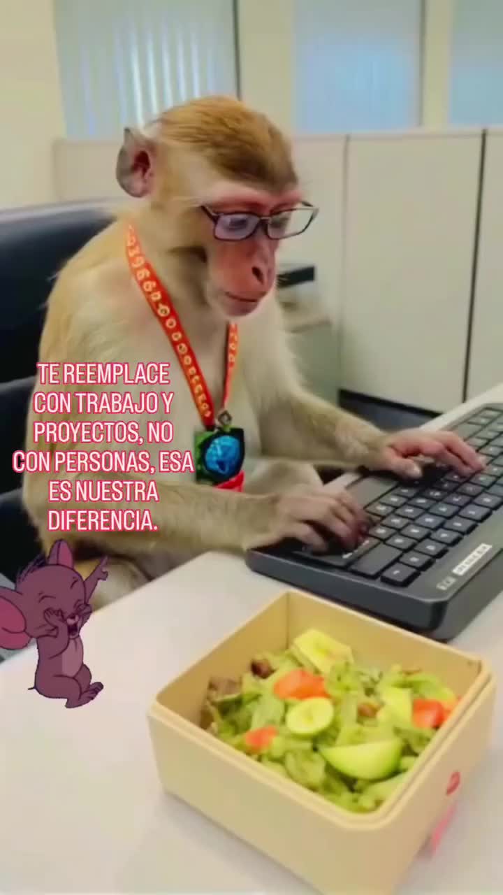 @el panda solitario