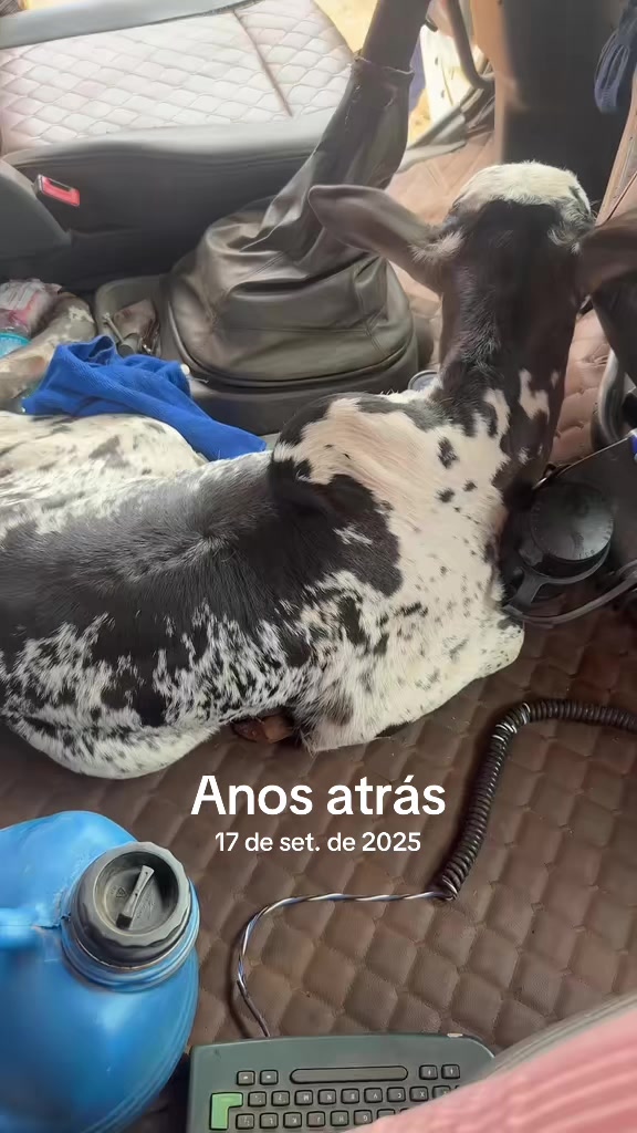 @Mulher de opinião formada