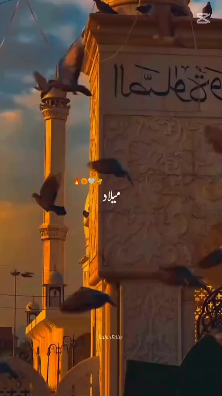 @Ali Hussain ♥️