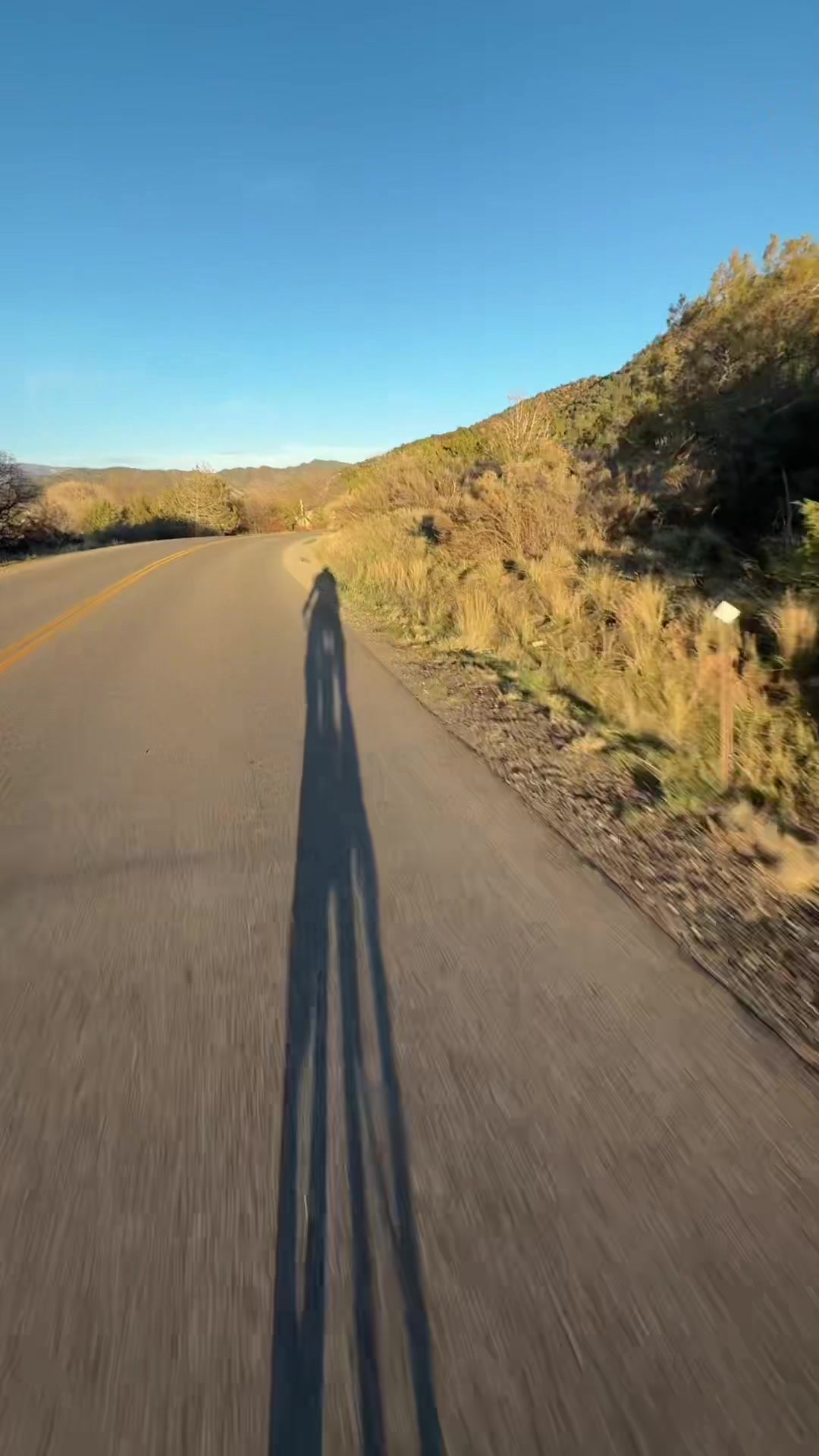 @Cookie likes to ride