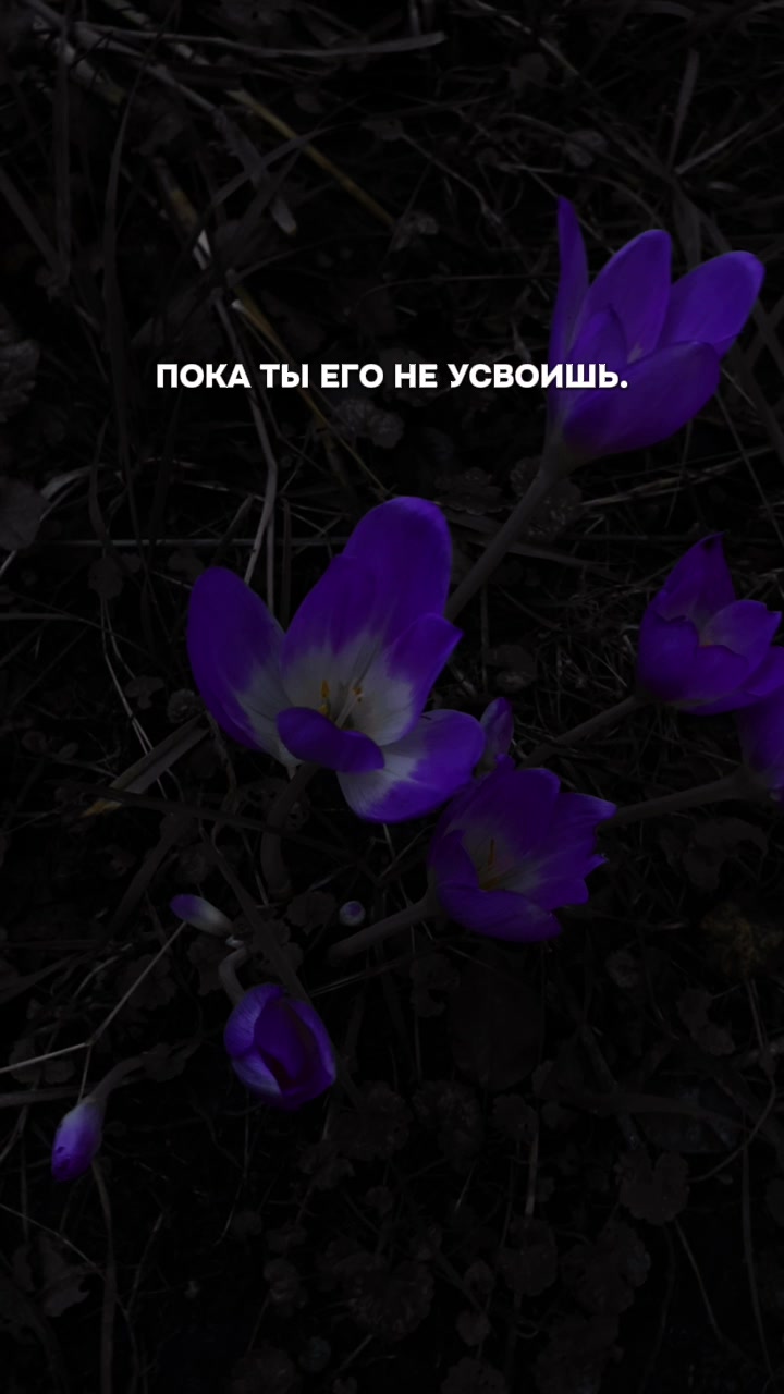 @moon_magic
