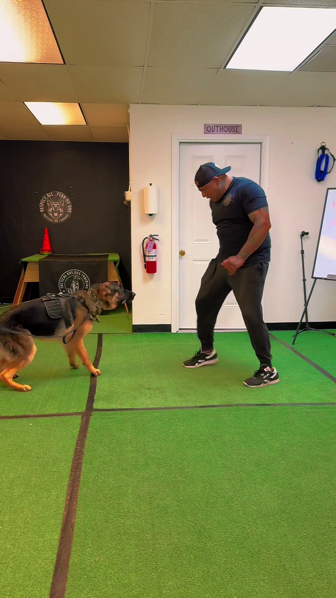 @Tactical K9s Dog Training