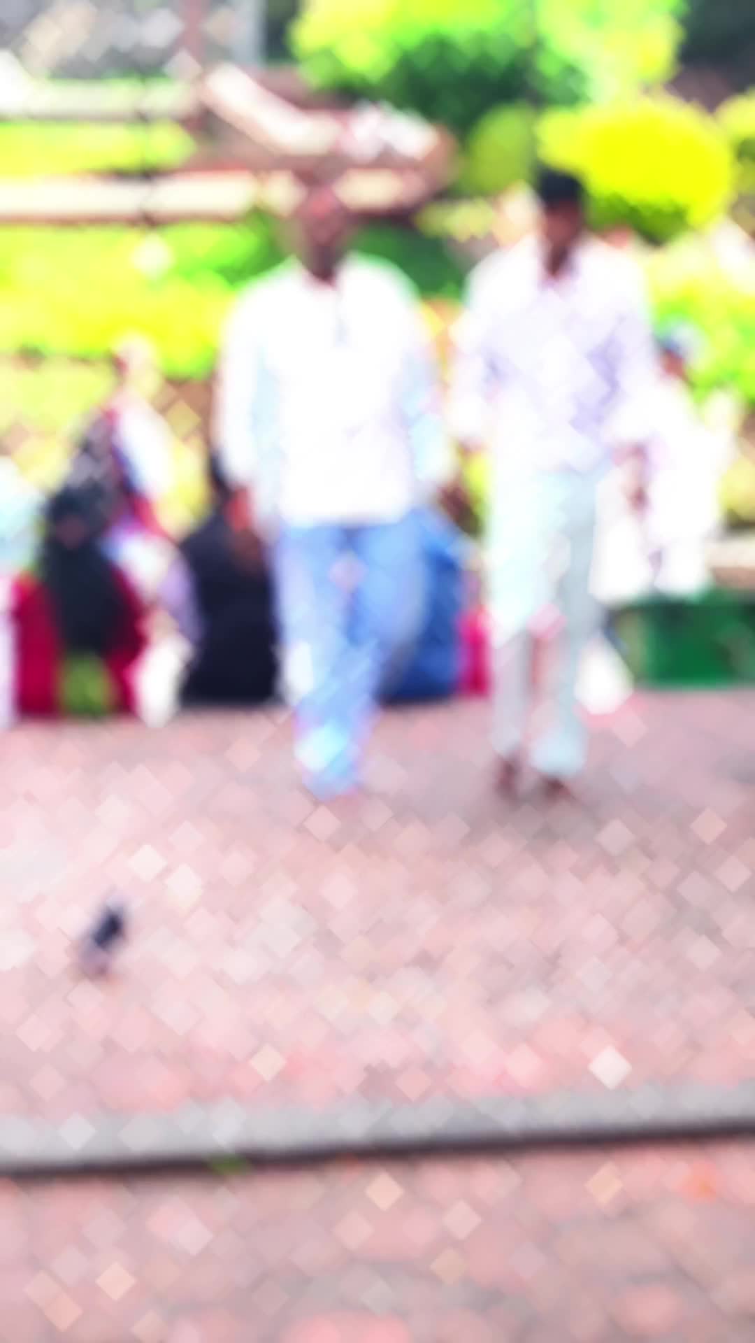 @🔥Bhojpuriyaa 🔥Raja🔥