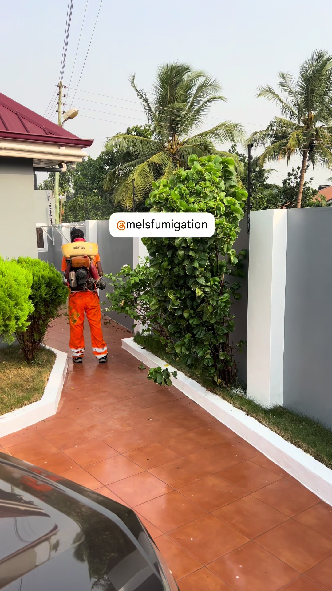 @melsfumigation