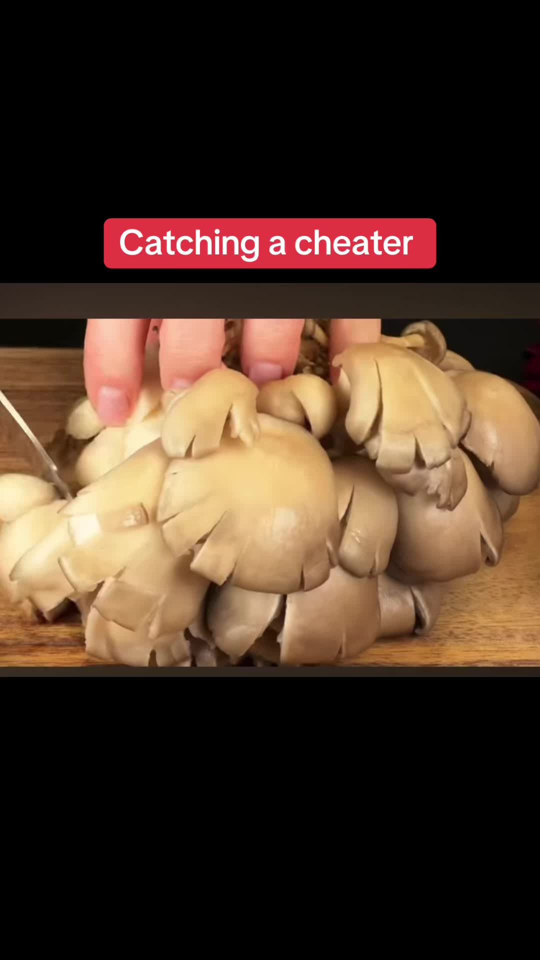 @elitewin
