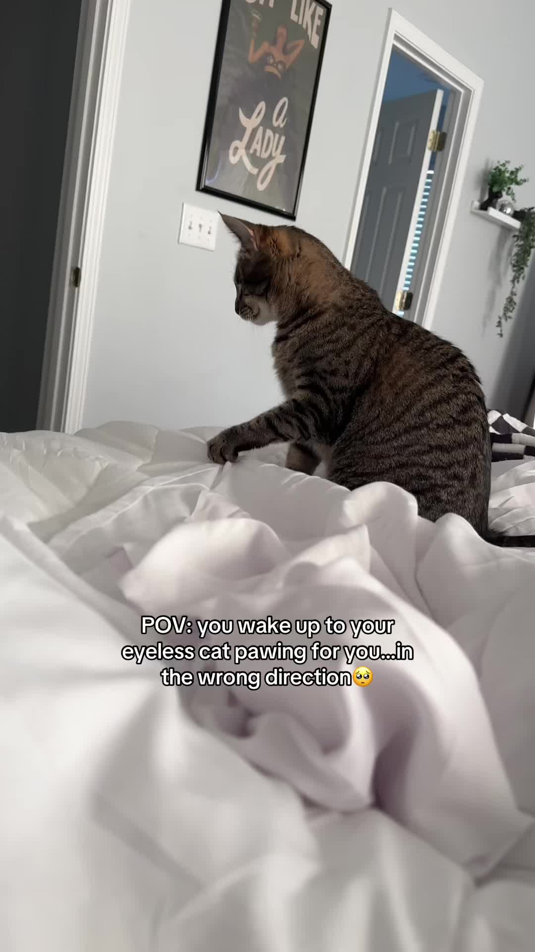 @𝘼𝙢𝙗𝙚𝙧 & 𝙎𝙩𝙚𝙫𝙞𝙚