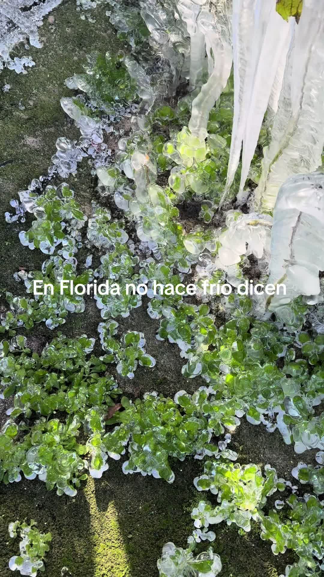 @LeoHernandéz:😉😎