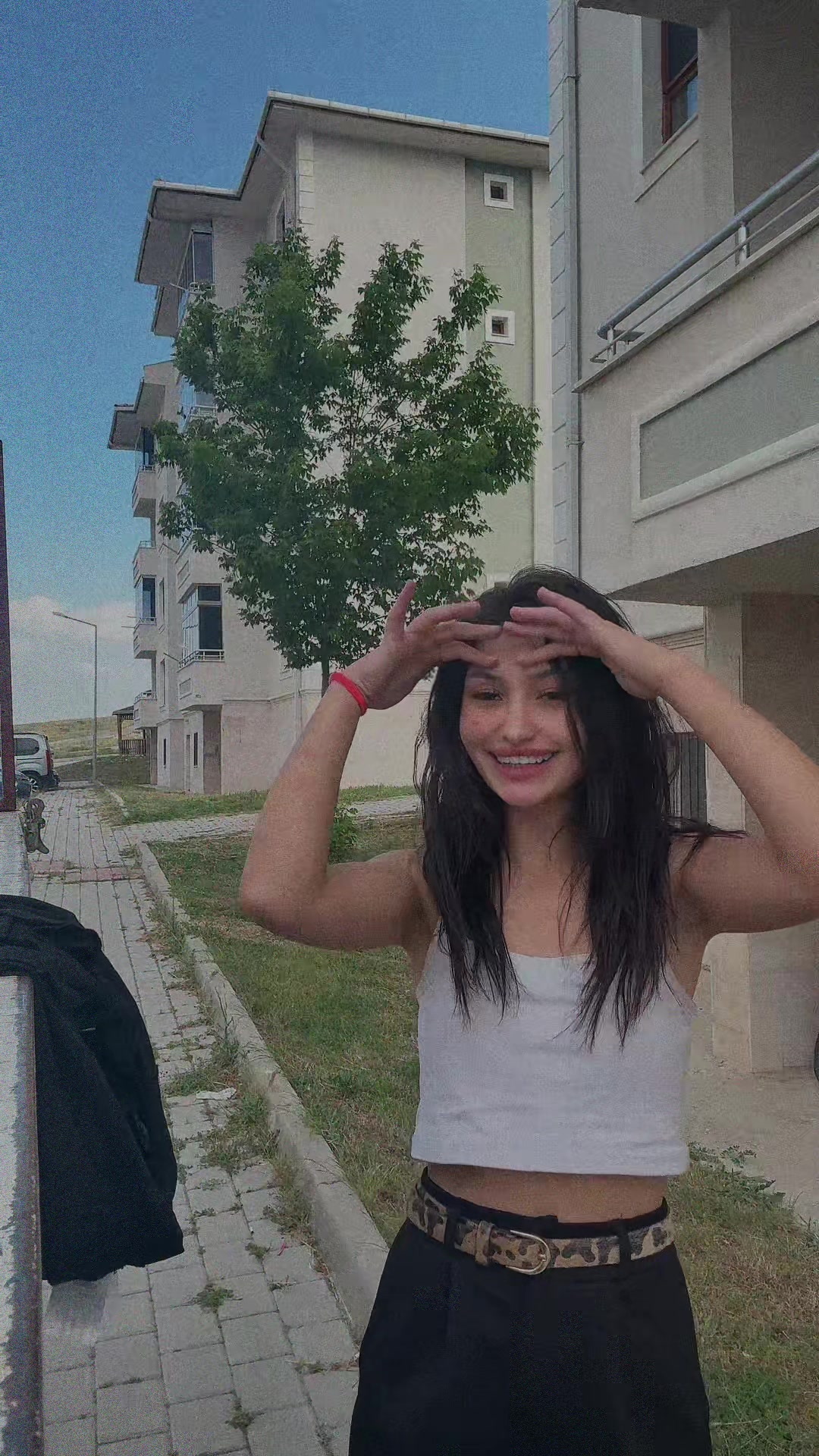 @incitaanesii