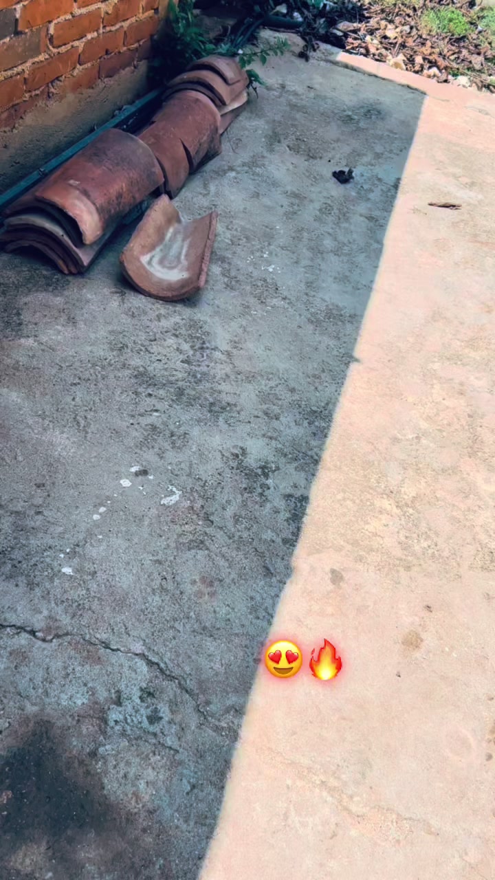 @Mmxi.🦍