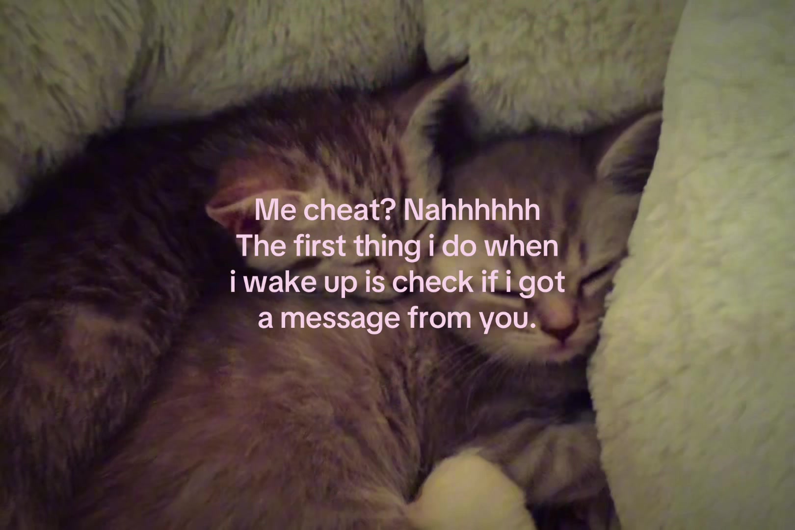 @sxalenz