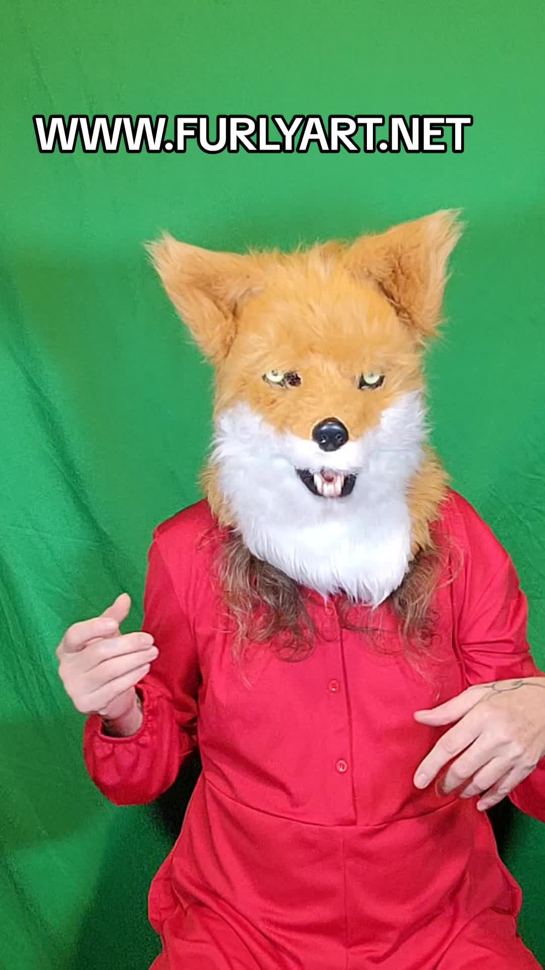 @Furly Travis Official