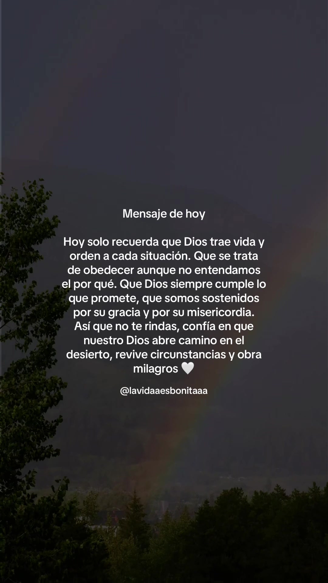 @vidabonita❤️🩹