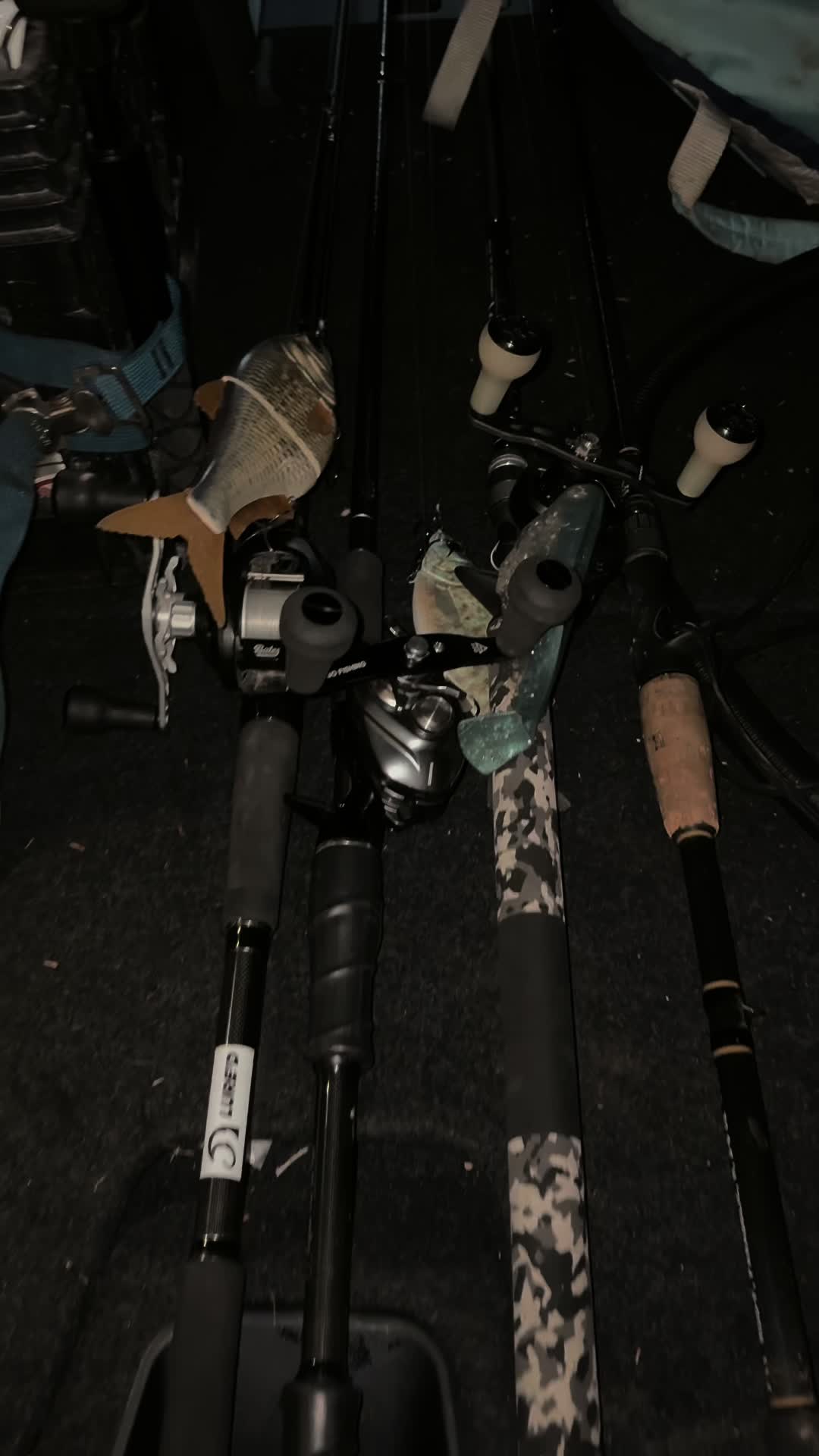 @Swimbait_noah