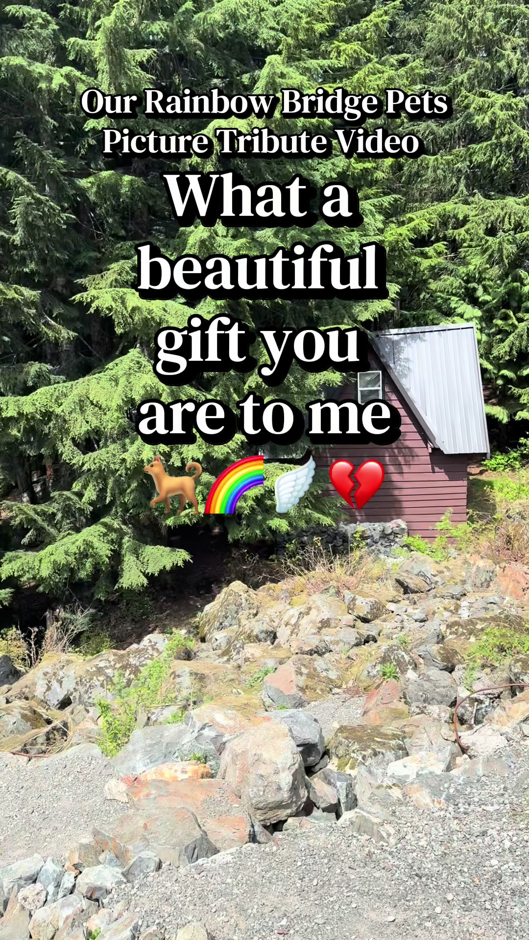 @OurRainbowBridgePets