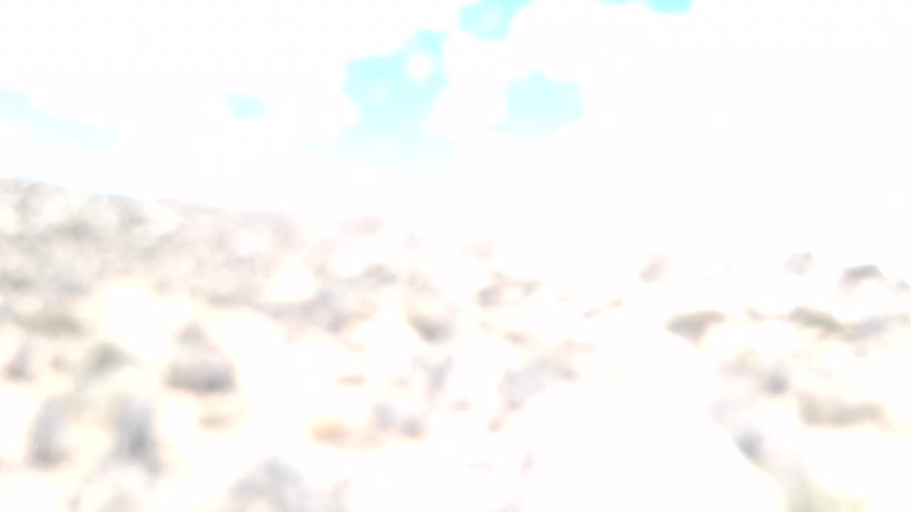 @Nevada HIGHDesert