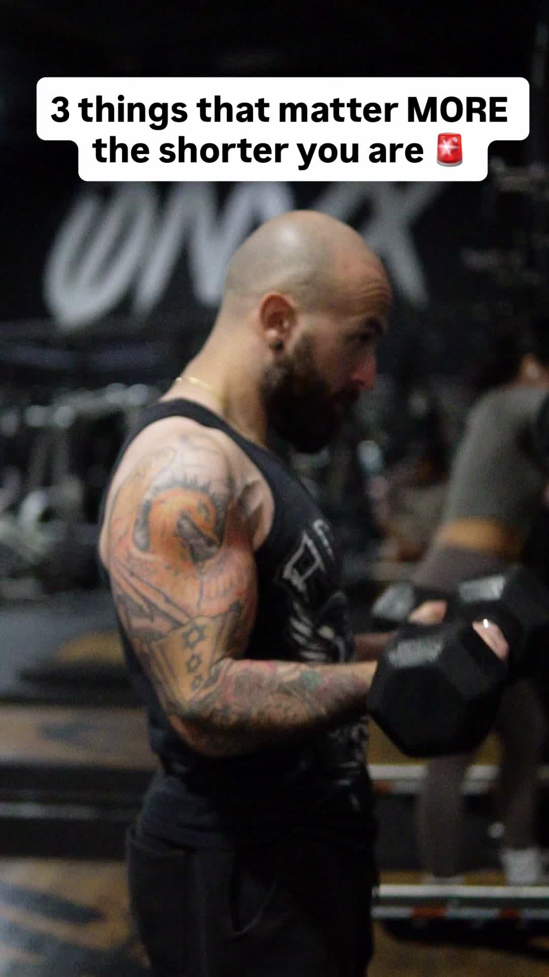 @AwolMuscle