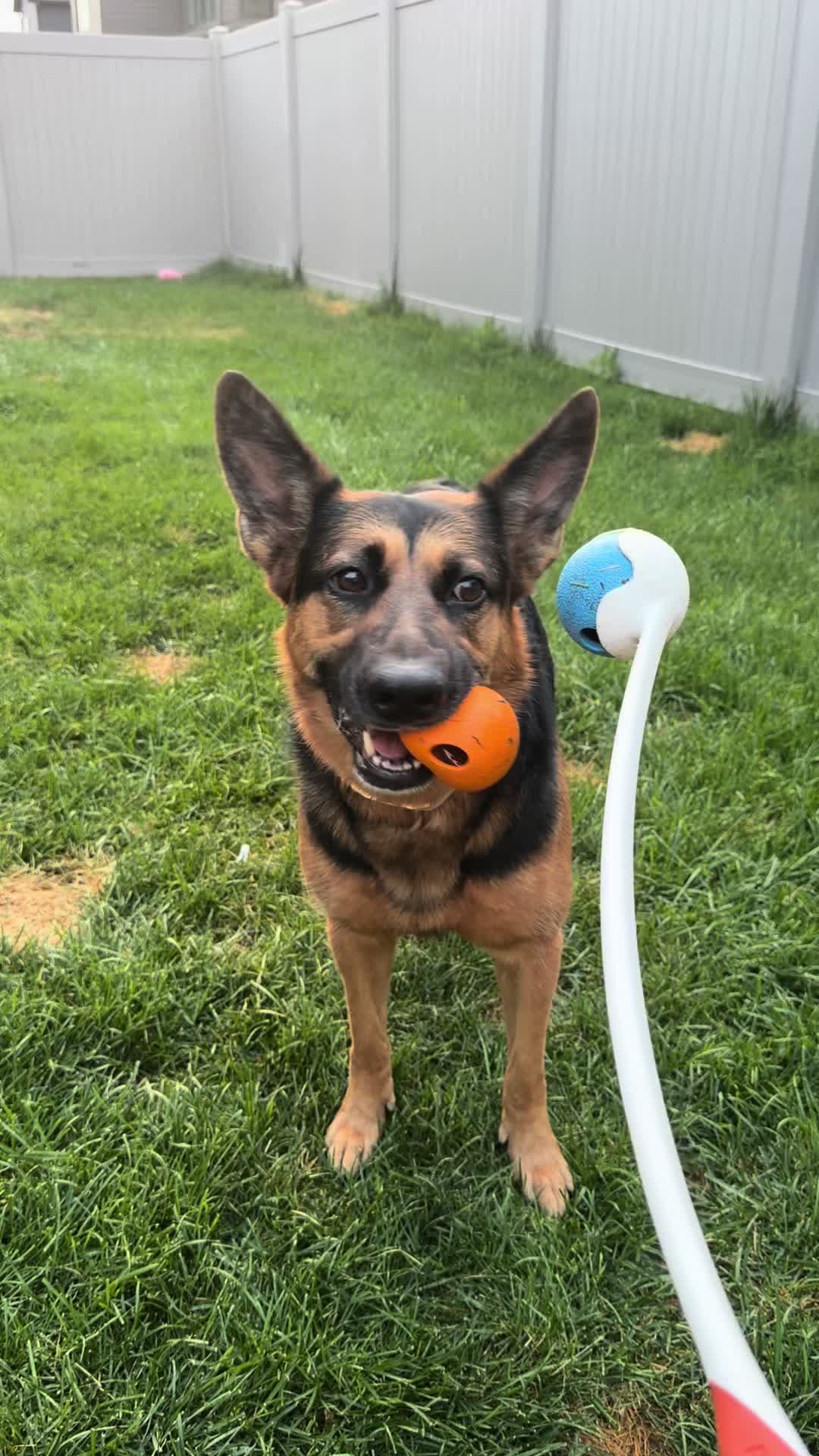 @Rory The Not-Working GSD