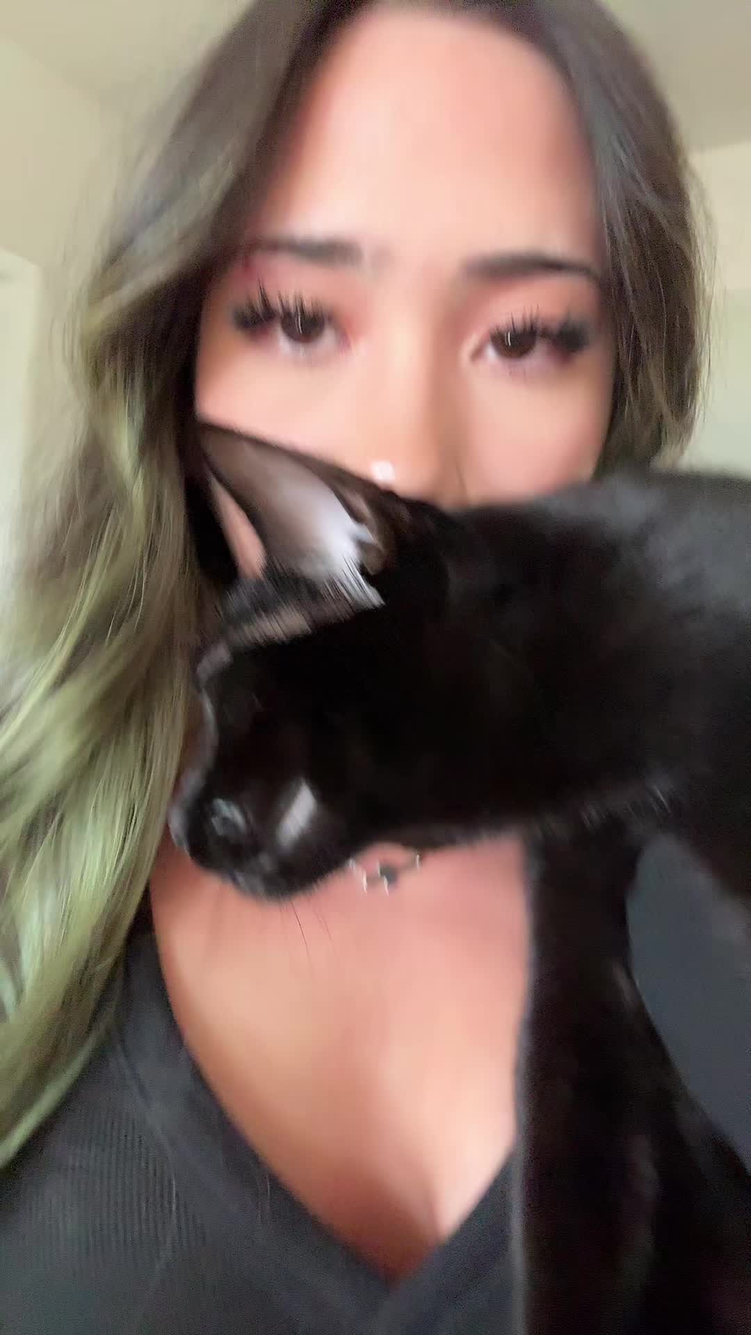 @$hrimpscampi