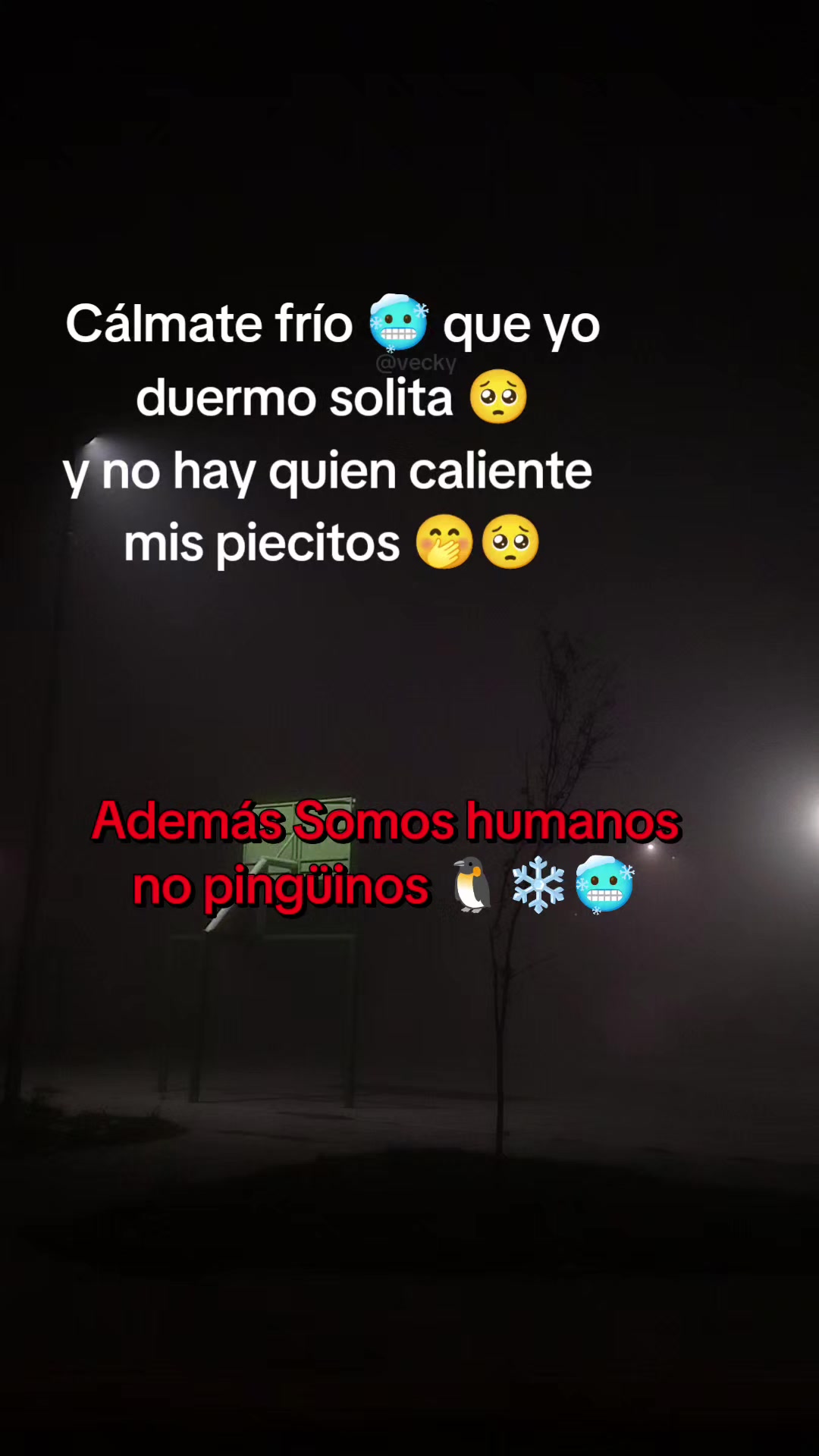 @vecky