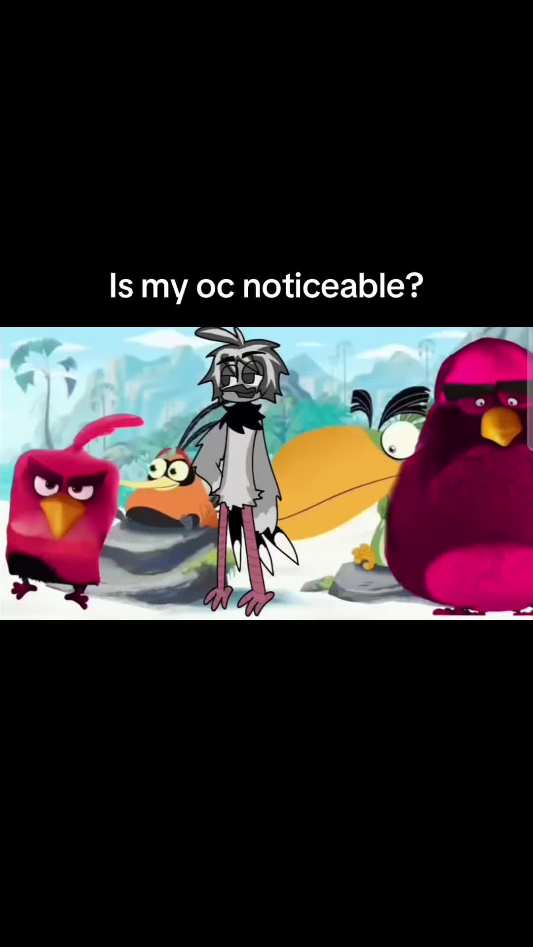 @Xcmshow