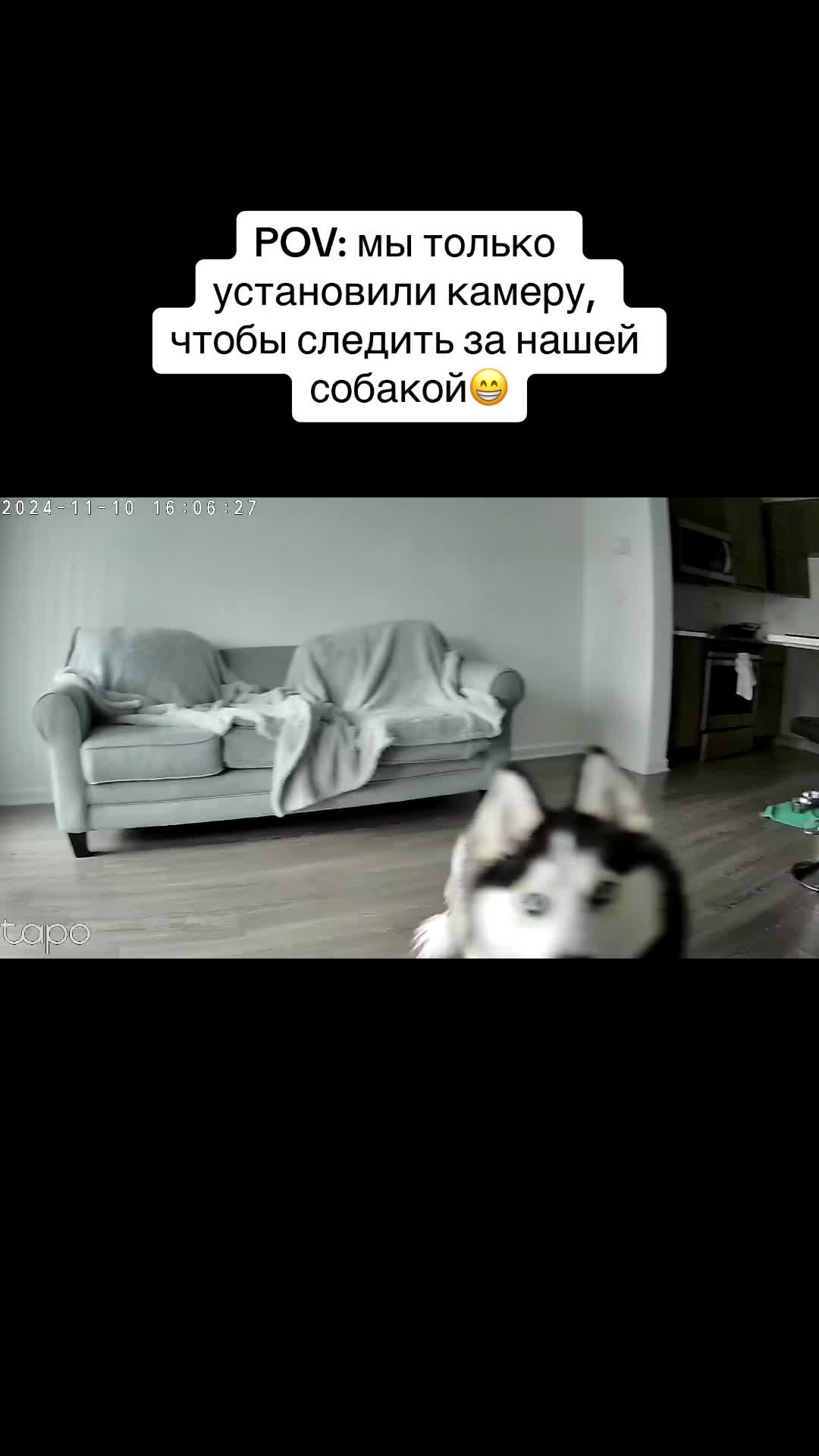@Husky_mom