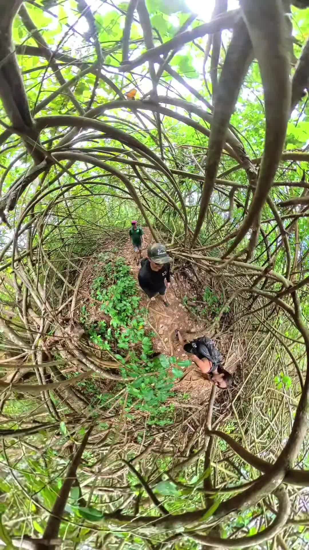 @Hike Maui