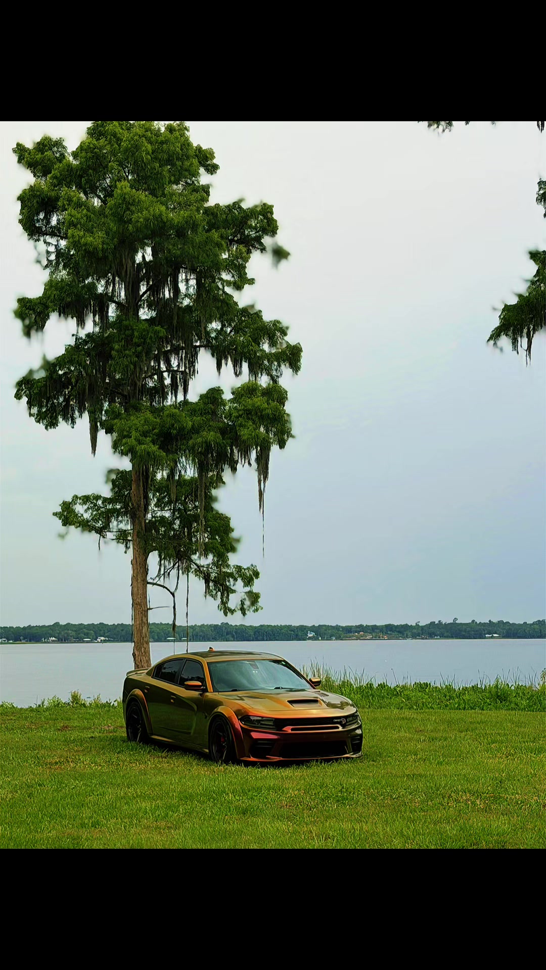 @REDEYE 😈 Hellcat⚡️🌪️