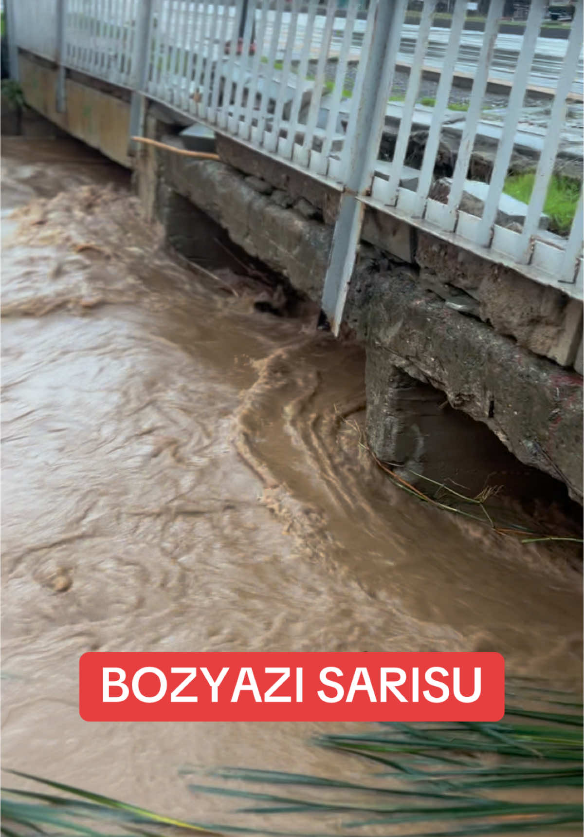 @Berhan Şimşekk