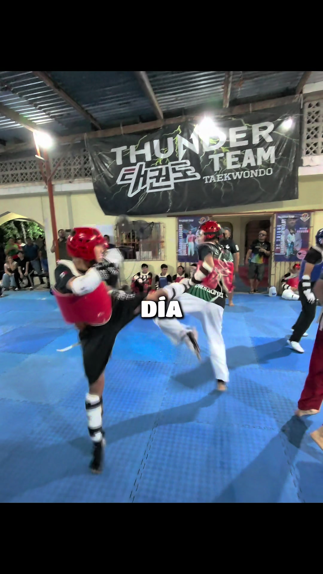 @taekwondolionsteam