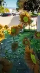 @ieatglass__