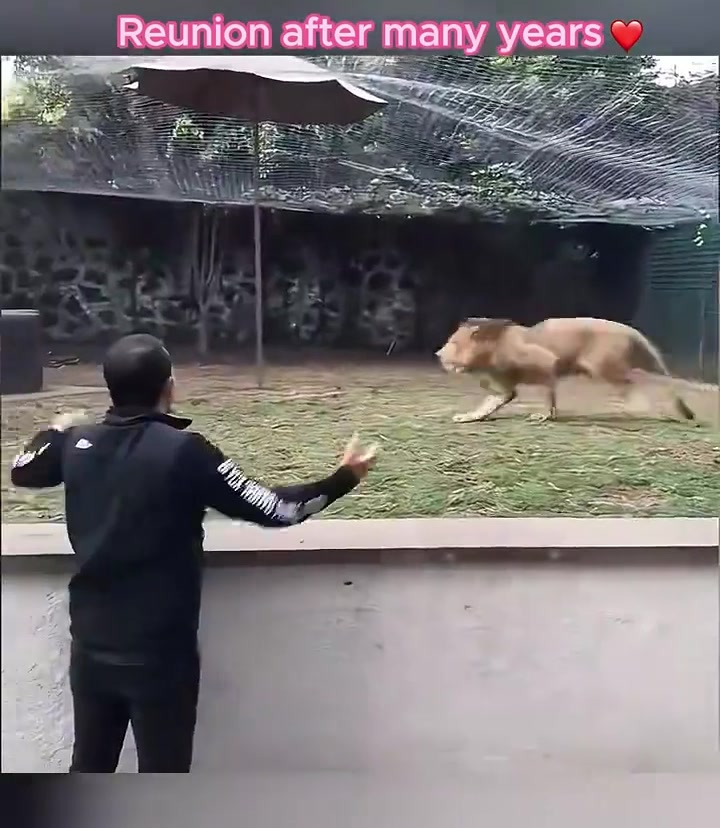 @Animelover89