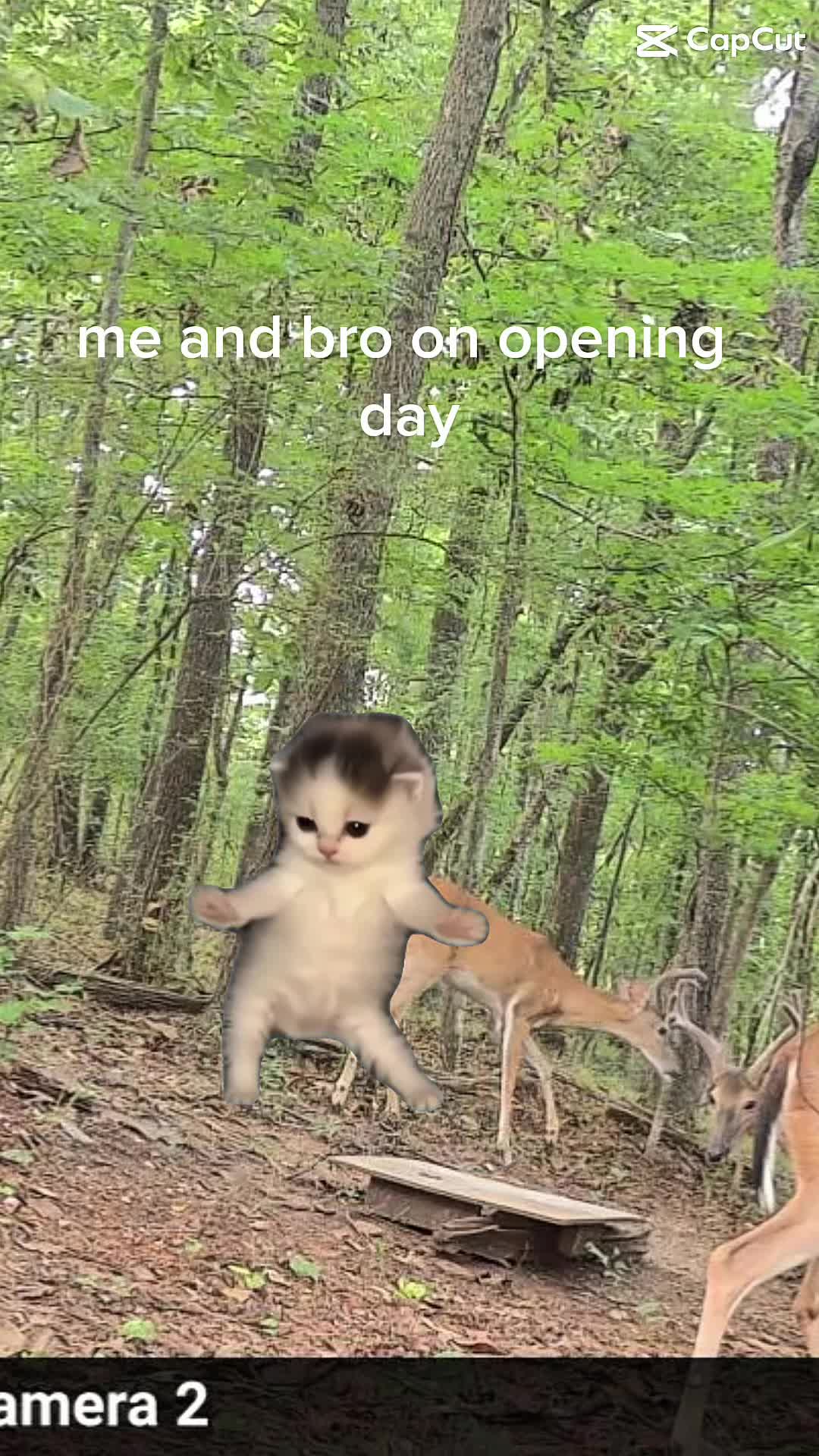 @Maverick🦅🦌🇺🇸