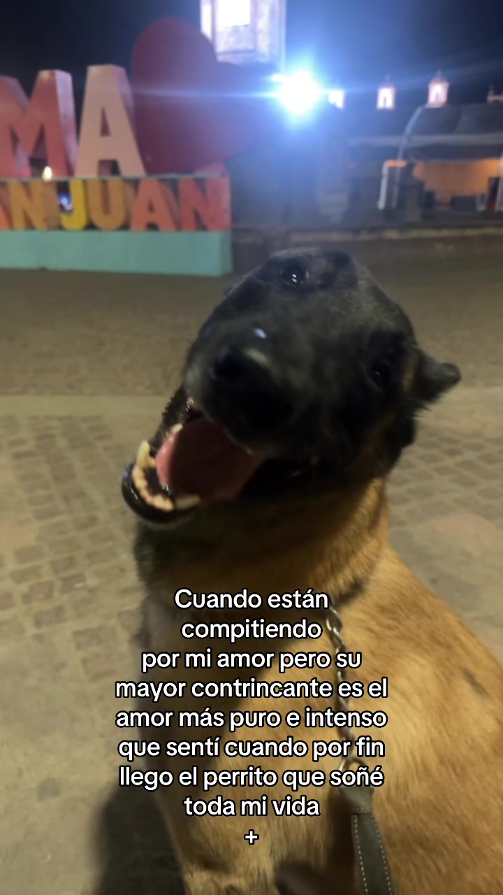 @psicologopp1