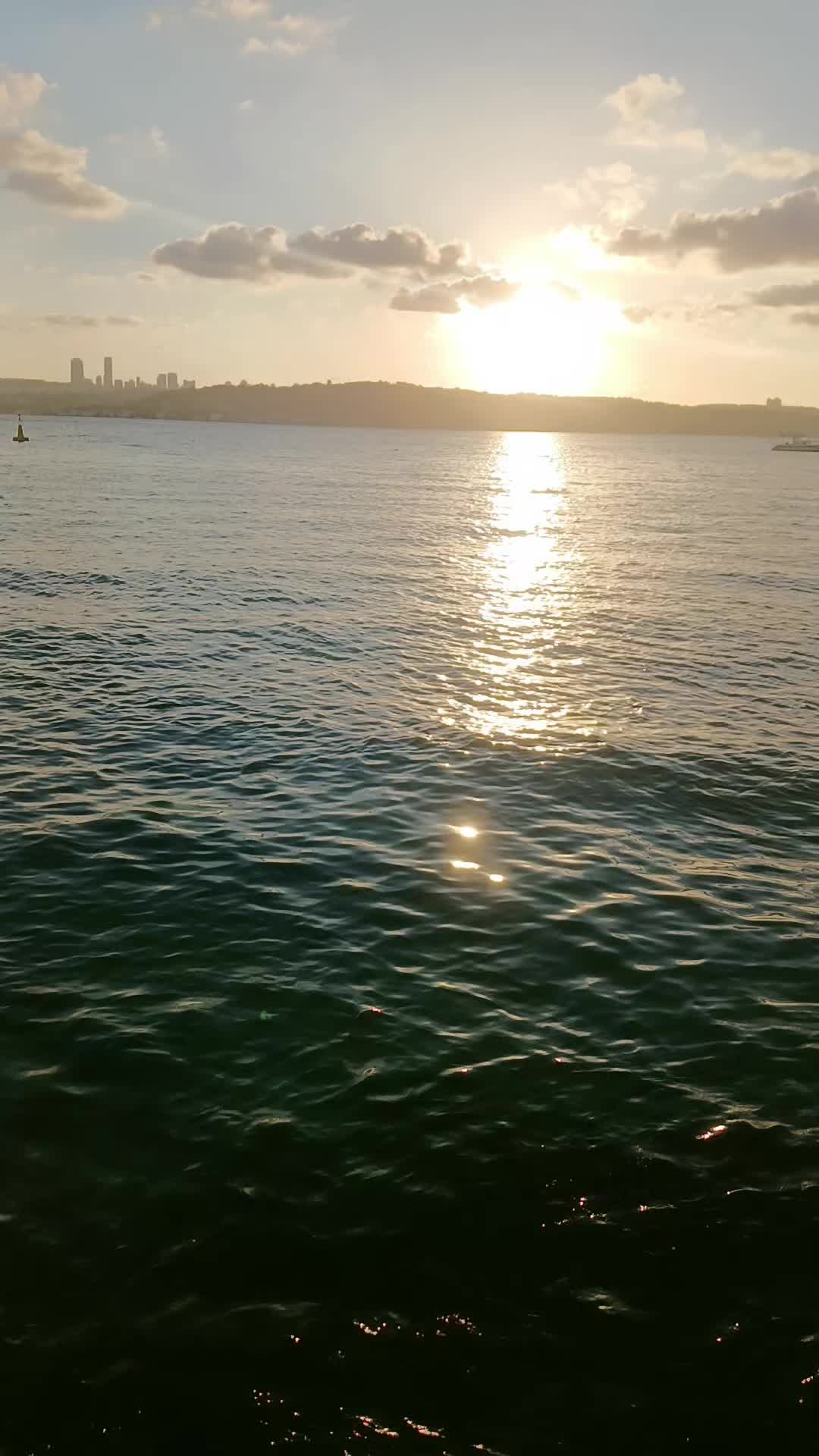 @deniz