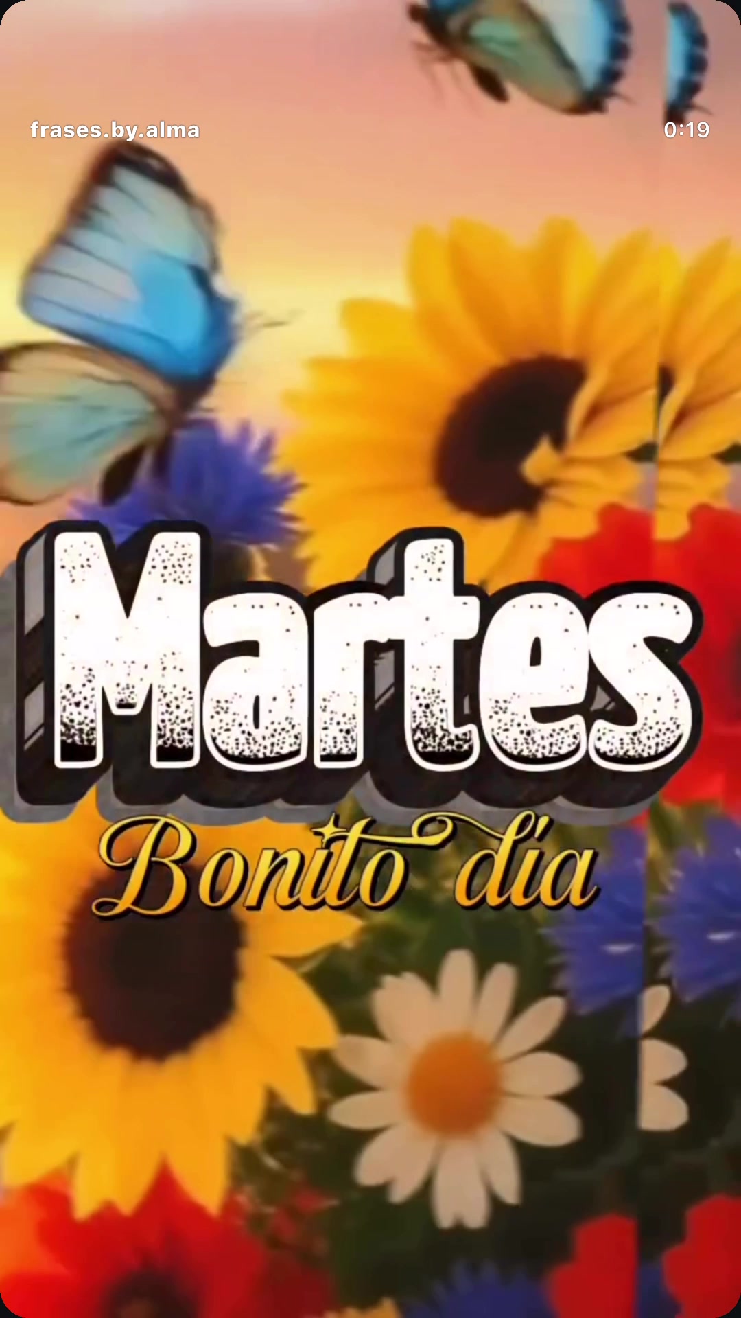 @JULIETTA AN