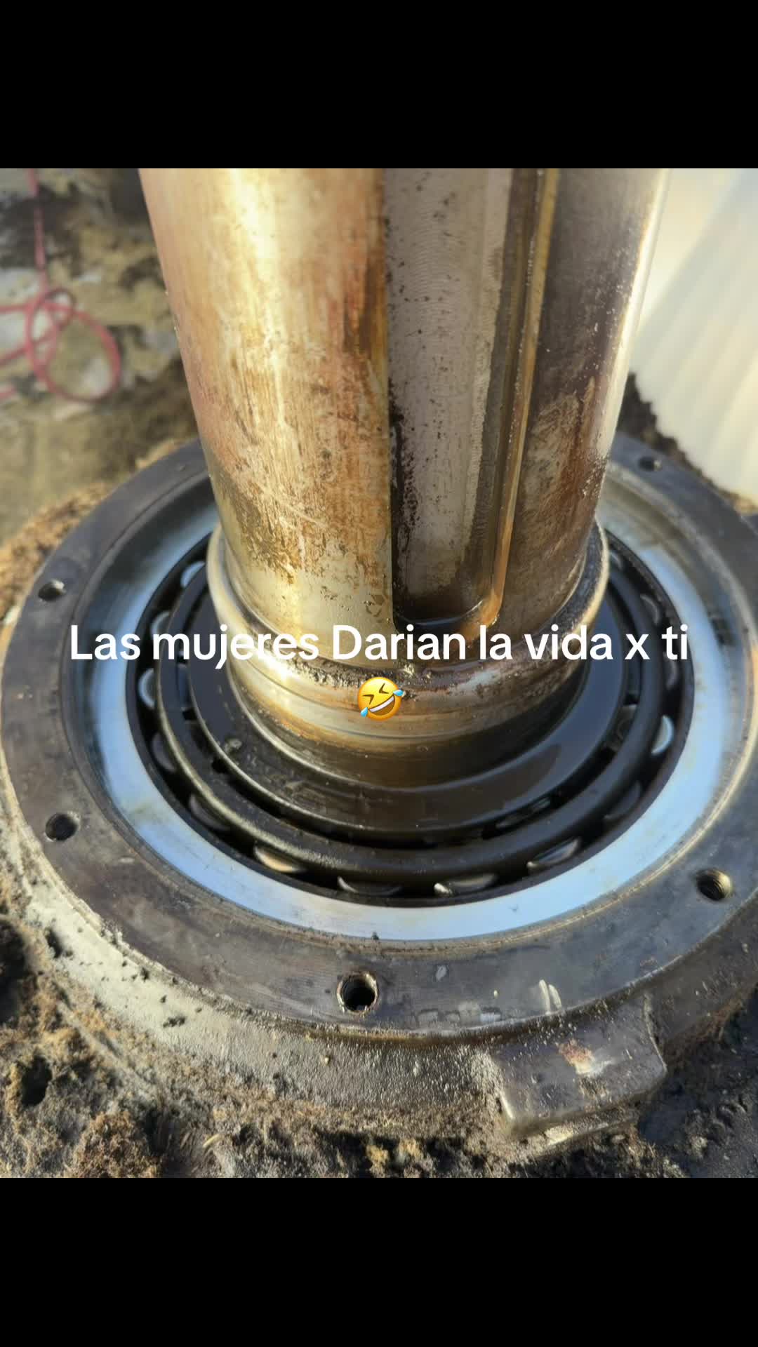 @raul perez986