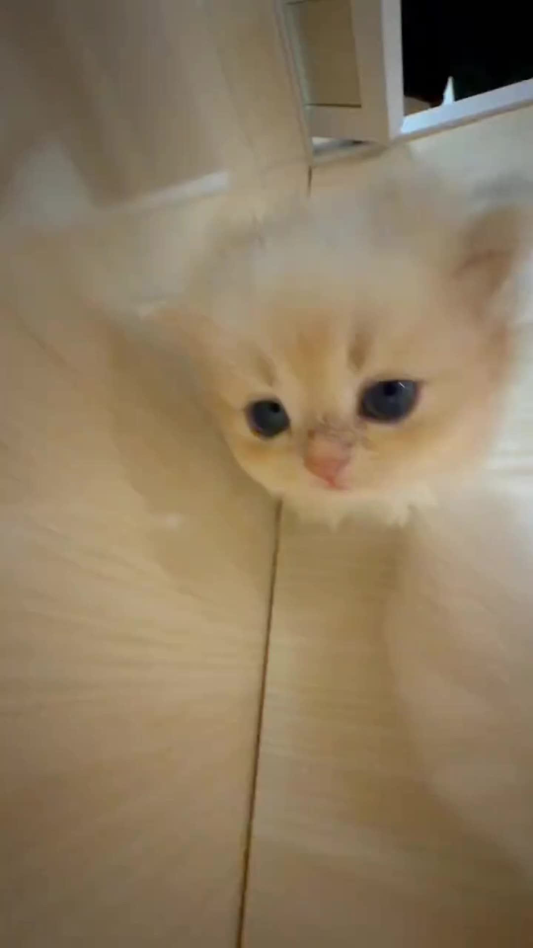 @cheerypaws