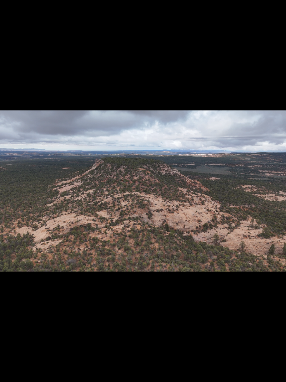 @Travis G Haskie