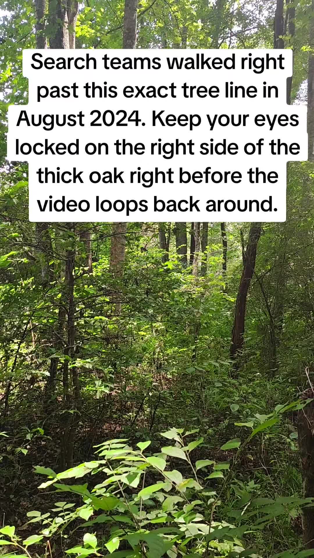 @Dustins Conspiracy
