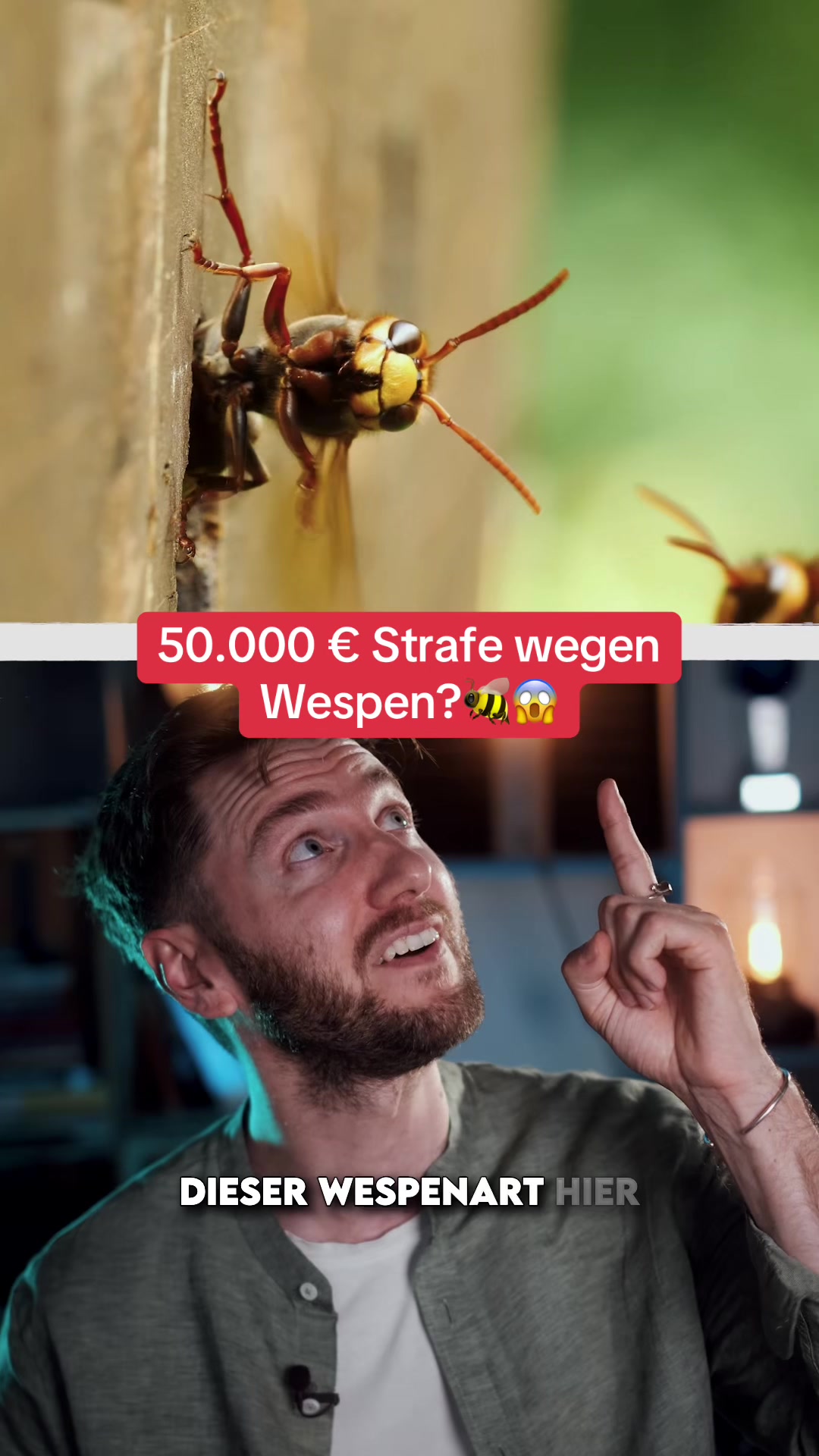 @Philipp Dubbert