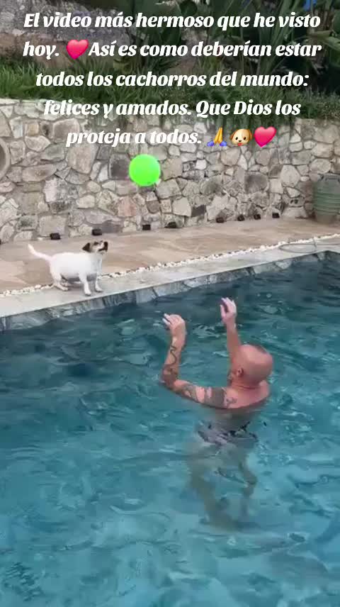 @Roxana Nunez