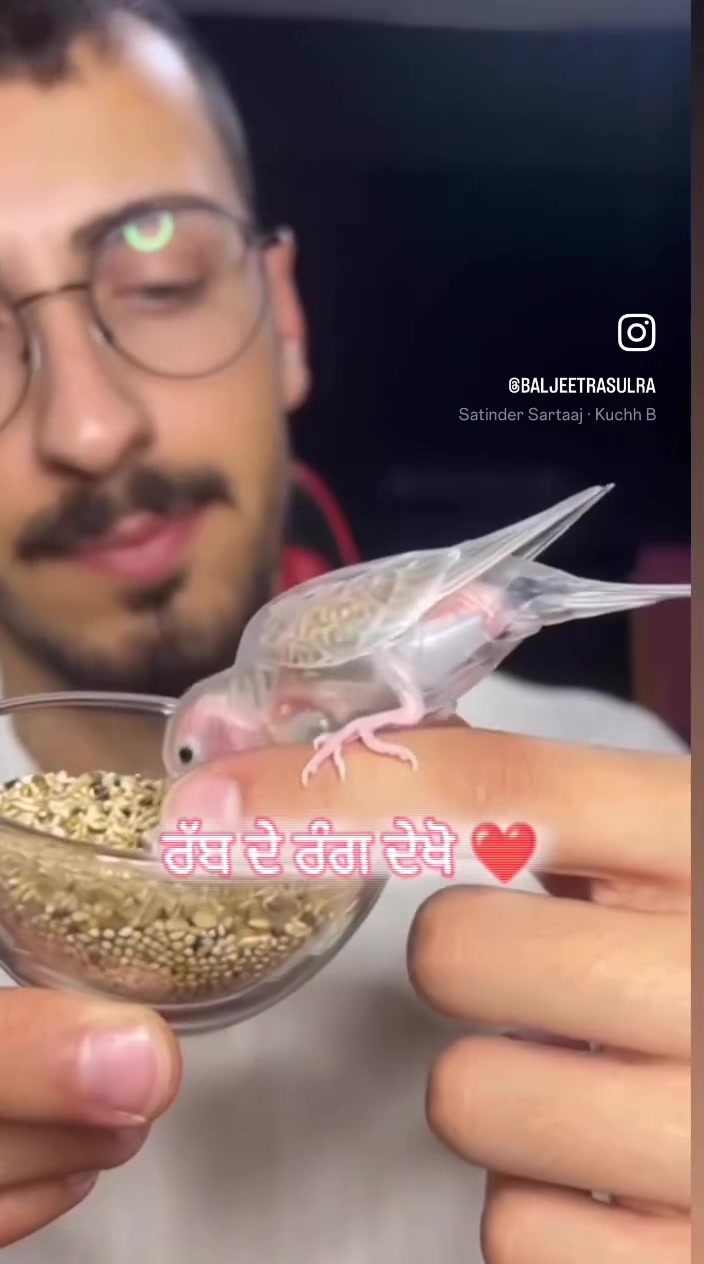 @ਮਿਨਹਾਸ ਰਾਜਪੂਤ