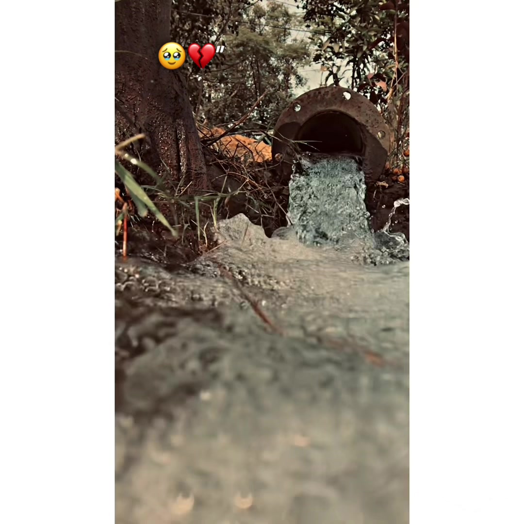 @پنجاب ❤️🩹