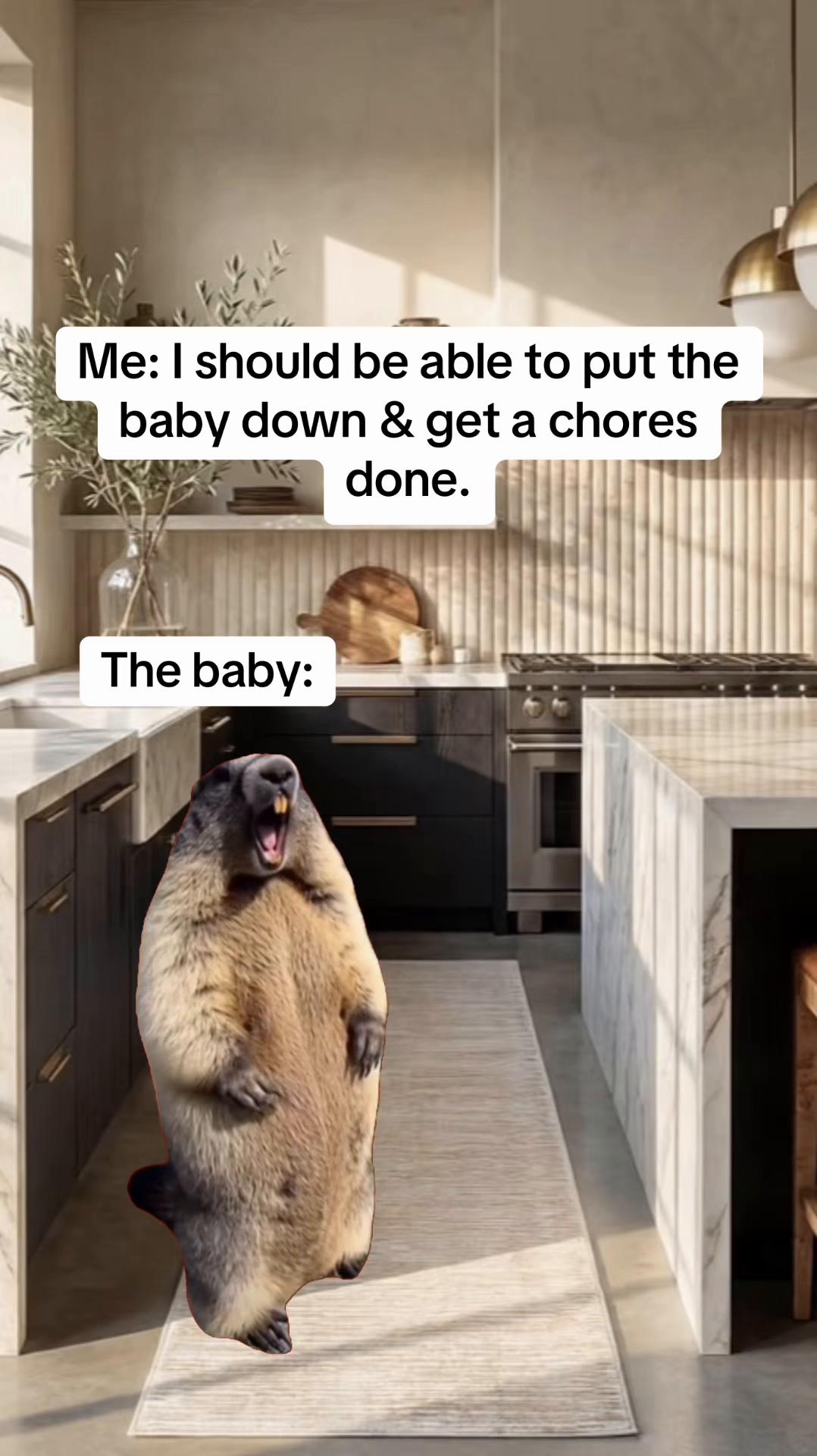@Memestreamqueen